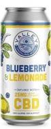 Connecticut Valley Brewing - Blueberry Lemon CBD (415)